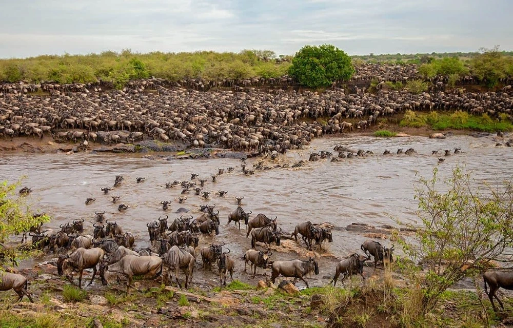 Serengeti National Park