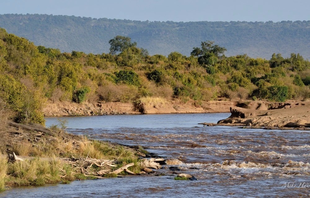Mara River